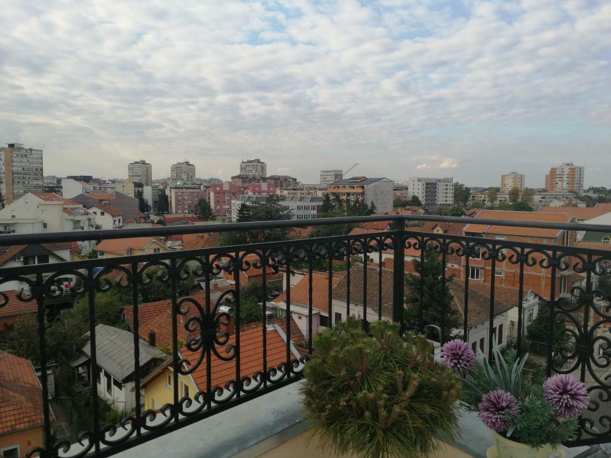 New And Nice Apartments Kragujevac Bagian luar foto
