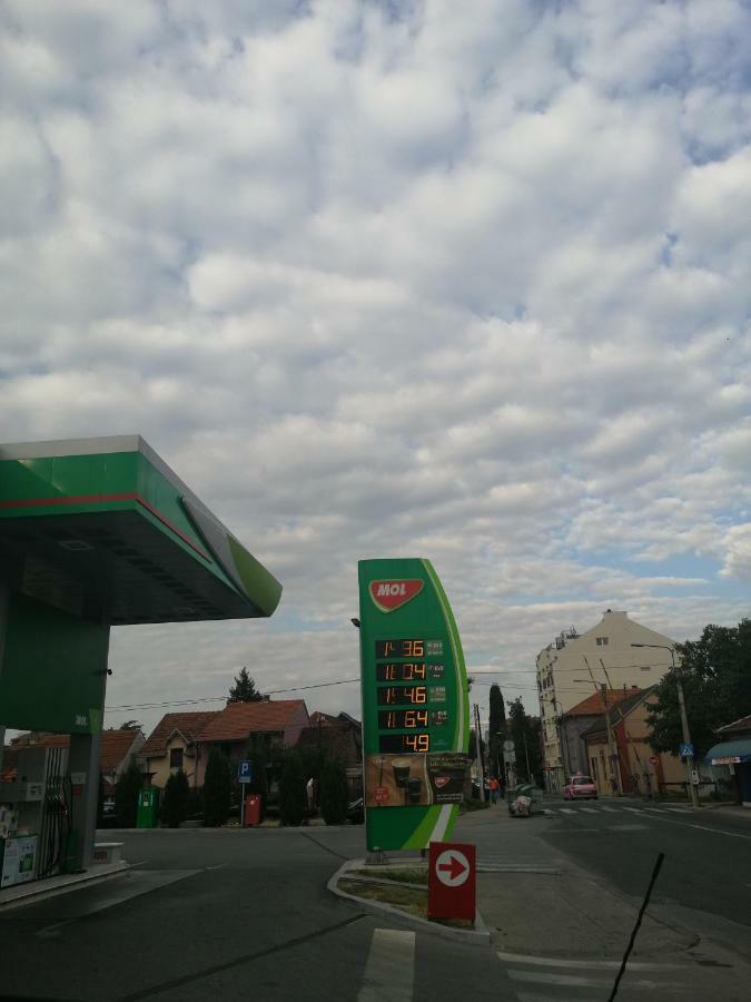 New And Nice Apartments Kragujevac Bagian luar foto